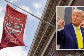 Trump suspends foreign student visas at Harvard University amid national security concerns