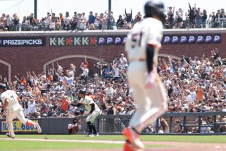 Fan tosses ball near home plate in strange sequence during Braves-Giants game