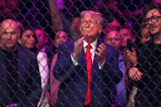 UFC fans share what they think about Trump ahead of O’Malley-Dvalishvili showdown