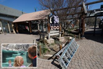 Denver zoo closes early over the weekend to prevent wild teens from pulling off TikTok-inspired ‘takeover’ trend