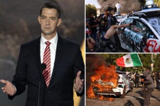 Sen. Tom Cotton backs use of Insurrection Act to quell LA riots — 5 years after controversial NYT op-ed : ‘Overwhelming show of force’