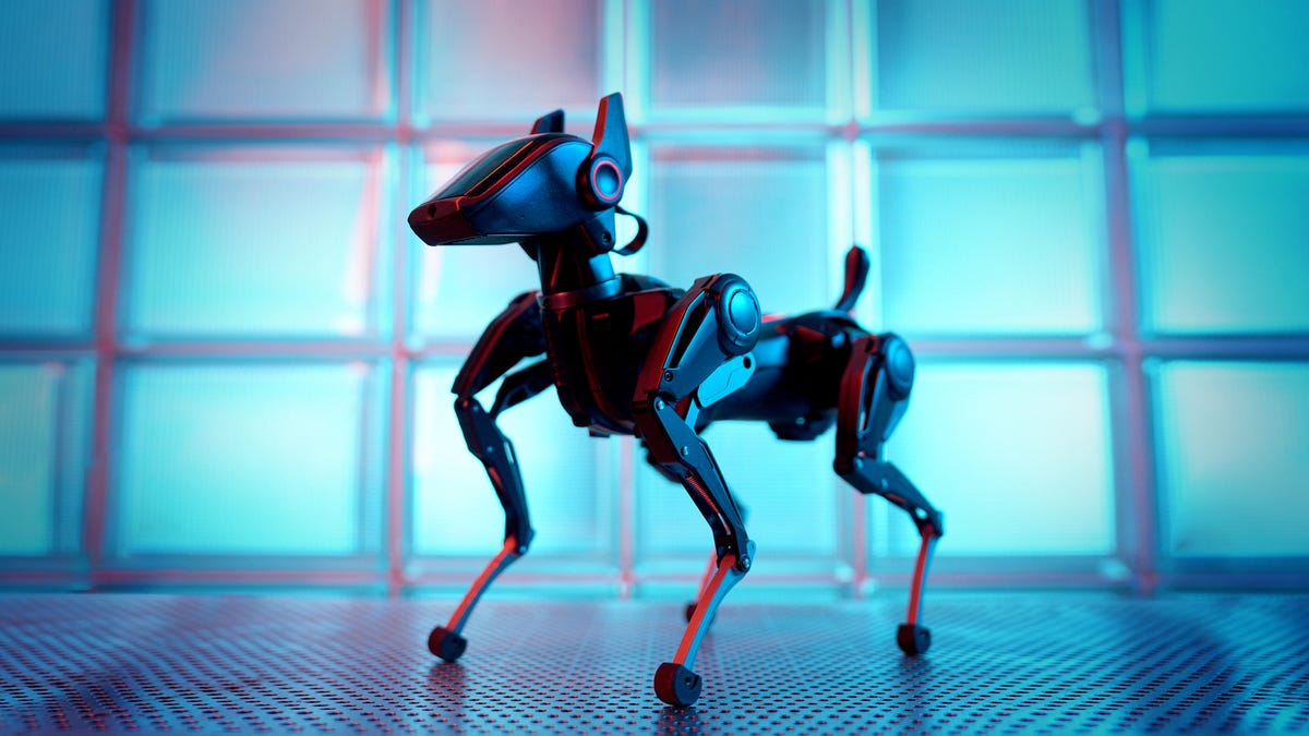 This ,299 Robot Dog Plays Soccer, Dances and Can ‘Evolve’ With AI