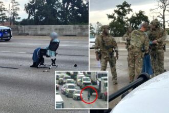 Gun-toting woman, 64, sat in lawn chair on busy Texas highway during hours-long police standoff