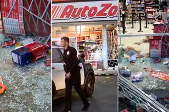 Over 100 looters ransack AutoZone in possible LA street takeover