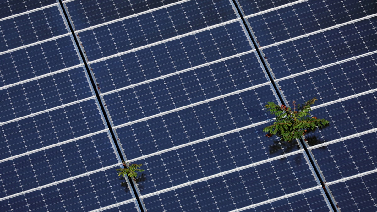 Solar panels