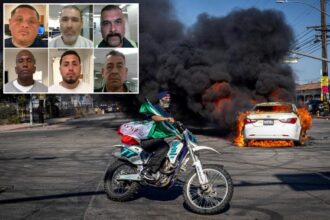 Migrants busted in LA include convicted sex abusers, drug dealers and gang members: ICE