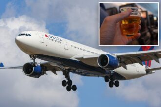 Drunken Delta passenger slugged grieving retiree over reclining seat in sad scene: lawsuit
