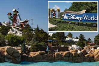 334-pound man sues Walt Disney World over injuries sustained on waterslide that allegedly didn’t support his weight