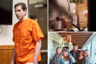 Woman claiming to be DoorDash driver on night of Idaho murders emerges as surprise witness at Kohberger trial: ‘Saw Bryan there’