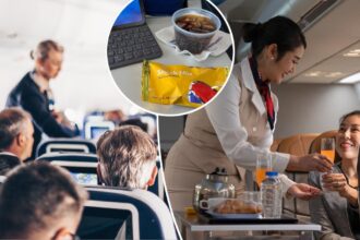 Flight attendant slammed after performing citizen’s arrest on crew member — for this insane reason