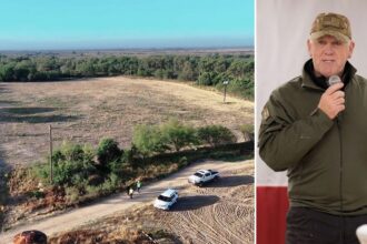 Border czar Tom Homan reveals unprecedented success in Trump’s border strategy