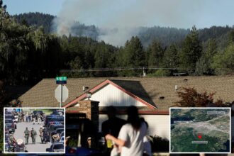 Chilling audio captures firefighter begging for help after crazed gunman ambushes crew responding to Idaho fire, killing 2