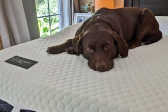 I Was Overwhelmed by Mattress Shopping. This 4 Mattress Topper Bought Me a Few More Comfortable Years