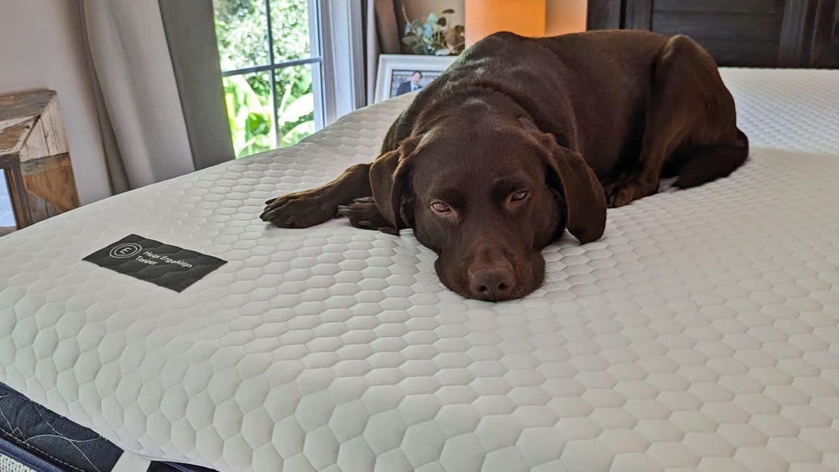 I Was Overwhelmed by Mattress Shopping. This 4 Mattress Topper Bought Me a Few More Comfortable Years