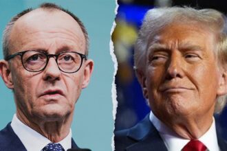 Germany’s Merz to ‘adapt’ to Trump during high-stakes meeting on tariffs, defense