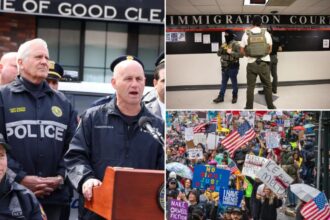 Exclusive | Long Island doubles down on anti-sanctuary stance, top cop pledges to work with ICE: ‘They have a job to do’