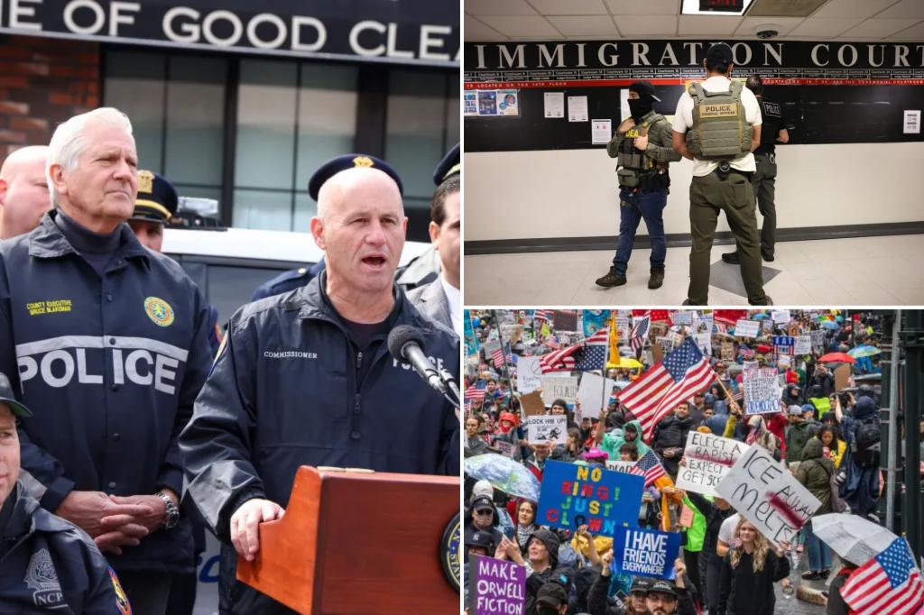 Exclusive | Long Island doubles down on anti-sanctuary stance, top cop pledges to work with ICE: ‘They have a job to do’