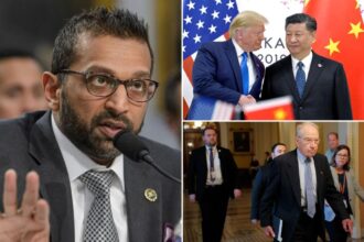 FBI delivers intel to Congress on alleged Chinese plot to interfere in 2020 election