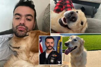 Navy sailor returns home from deployment to find out family gave his dog away — before he tracks down pooch: ‘Isn’t just a pet’