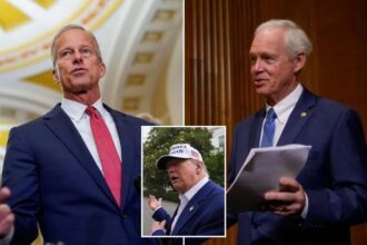 Sen. Ron Johnson tears into White House’s ‘misleading’ claims about the true cost of Trump’s ‘big beautiful’ bill
