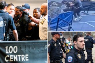 Exclusive | Knife-wielding maniac who attacked NYC court officers has antagonized NYPD for years: sources