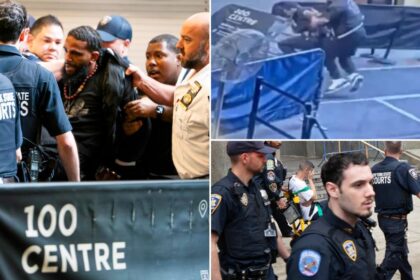 Exclusive | Knife-wielding maniac who attacked NYC court officers has antagonized NYPD for years: sources