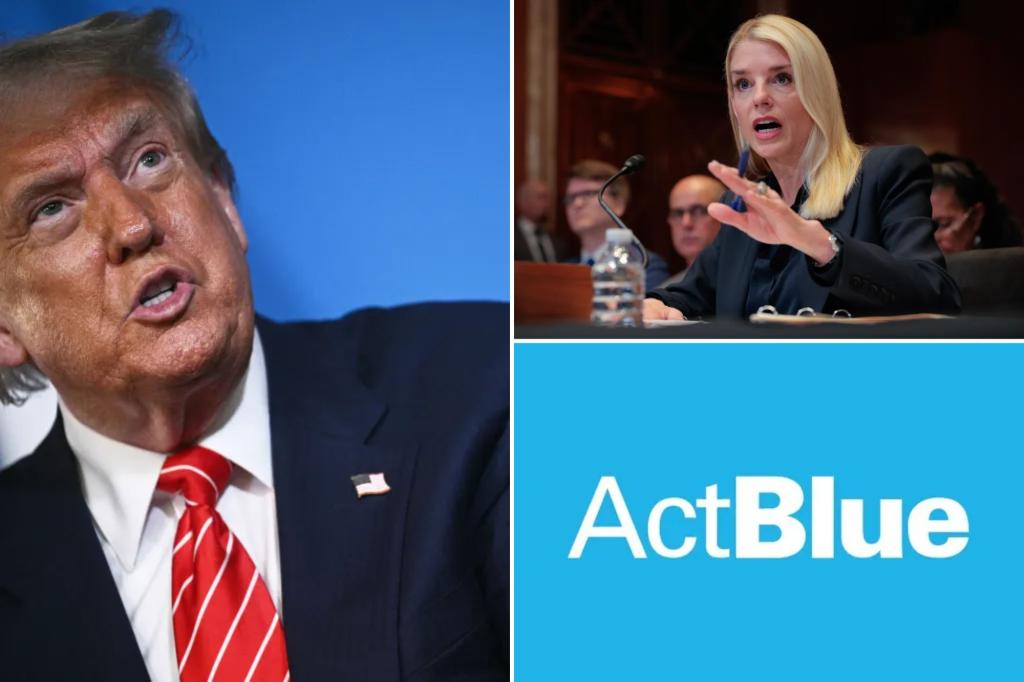 ActBlue officials must face Congress as House, DOJ probe ‘widespread’ fraud on Dem fundraising platform
