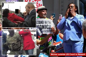 NJ Dem Rep. LaMonica McIver pleads not guilty to assault charges after chaotic visit to Newark immigration center