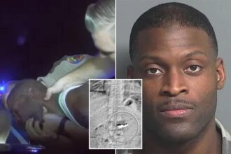 Dashcam video catches the moment man swallows 0K worth of Tiffany earrings after cops pull him over
