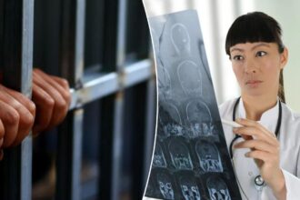 The surprising, ‘controversial’ link between brain injuries and criminal behavior revealed
