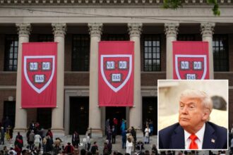 Harvard files legal challenge over Trump’s ban on US entry for incoming foreign students