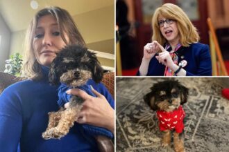 Exclusive | Pup fatally struck by speeding e-bike – and grieving UES owner can’t get justice thanks to legal loophole: ‘Just heartbreaking’