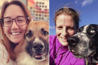 Can our pets feel our own anxieties? How to help furry friends in need of emotional support