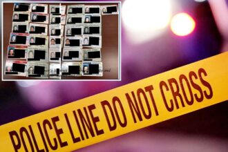 Fraudster who carried around ‘bedazzled’ gun sentenced to hard time over identity theft ring conviction