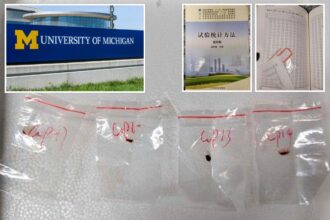 Chinese national couple charged with smuggling crop-killing fungus into US: ‘Potential agroterrorism weapon’