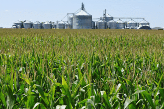 Chinese ‘agroterrorism’ could threaten US ‘survival as a nation,’ expert warns