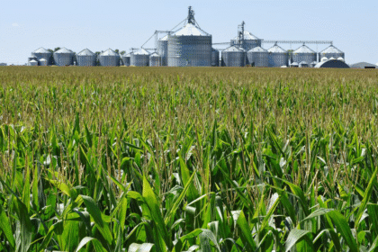 Chinese ‘agroterrorism’ could threaten US ‘survival as a nation,’ expert warns