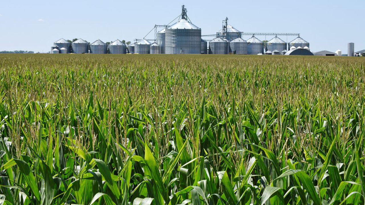 Chinese ‘agroterrorism’ could threaten US ‘survival as a nation,’ expert warns