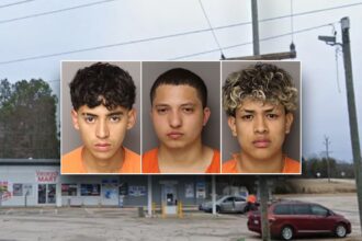 Americans at risk ‘anywhere’ after 6 illegal immigrants are charged in mother’s murder: congressman