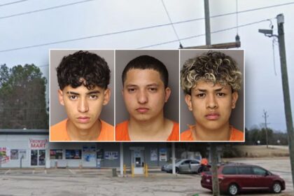Americans at risk ‘anywhere’ after 6 illegal immigrants are charged in mother’s murder: congressman