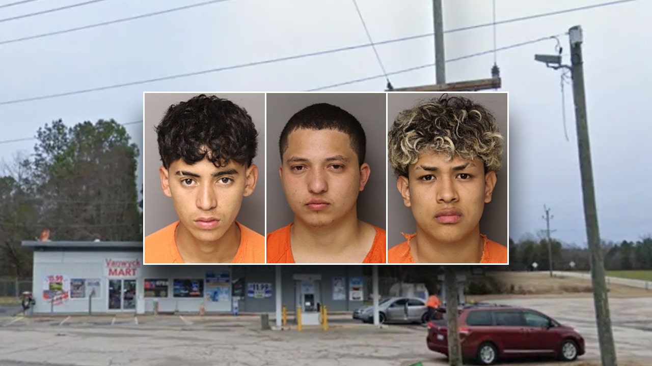 Americans at risk ‘anywhere’ after 6 illegal immigrants are charged in mother’s murder: congressman
