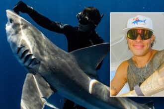 Diver who freed sharks gets Trump pardon after felony conviction stuns him: ‘My heart sank’