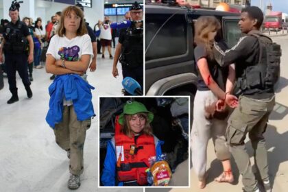 Greta Thunberg and ‘selfie yacht’ pals refused to watch ‘horror film of the Oct. 7 massacre’: Israel