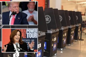 Trump won more than half of foreign-born Hispanics — still would have beaten Harris if every eligible person voted in 2024 election: analysis