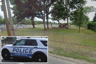 Two bruisers busted after illegal ‘fight club’ at Long Island park broken up by cops