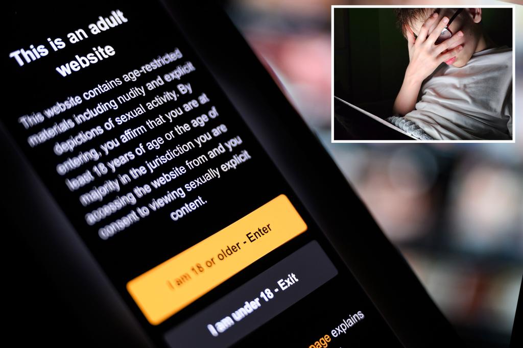 Supreme Court rules on Texas age verification law for adult websites