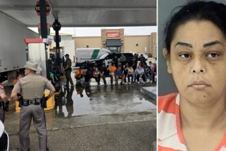 Texas woman arrested for allegedly smuggling illegal immigrants hidden inside box truck