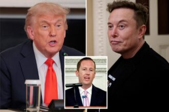 Exclusive | White House staffer went on a revenge tour against Elon Musk, fanning flames with Trump — while bragging about Tesla stock drop