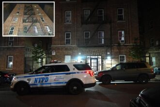 Jealous NYC man fatally stabs girlfriend, cops say: ‘He told me he loved her so much’