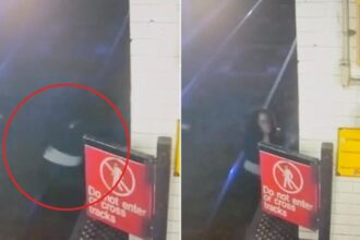 Exclusive | NYC woman once accused of murder is struck, killed by subway train after jumping on tracks to relieve herself: video